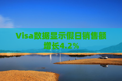 Visa数据显示假日销售额增长4.2%
