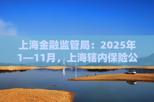上海金融监管局：2025年1—11月，上海辖内保险公司原保险保费收入累计2784.47亿元