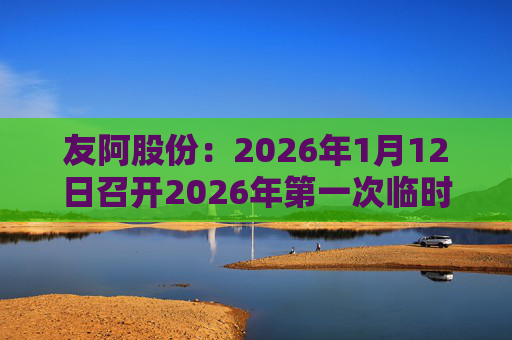 友阿股份：2026年1月12日召开2026年第一次临时股东会