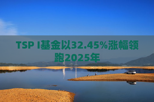 TSP I基金以32.45%涨幅领跑2025年