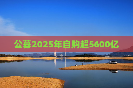 公募2025年自购超5600亿