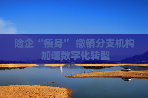 险企“瘦身” 撤销分支机构 加速数字化转型