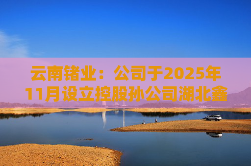 云南锗业：公司于2025年11月设立控股孙公司湖北鑫耀半导体有限公司实施“高品质砷化镓晶片建设项目”