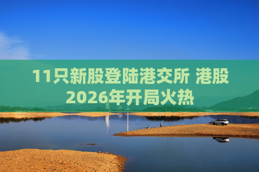11只新股登陆港交所 港股2026年开局火热