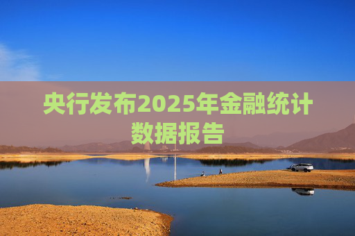 央行发布2025年金融统计数据报告