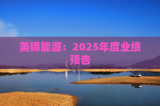 美锦能源：2025年度业绩预告