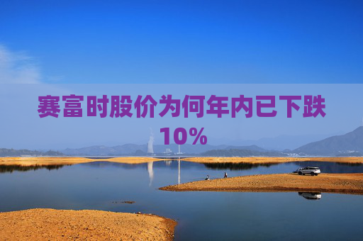 赛富时股价为何年内已下跌10%