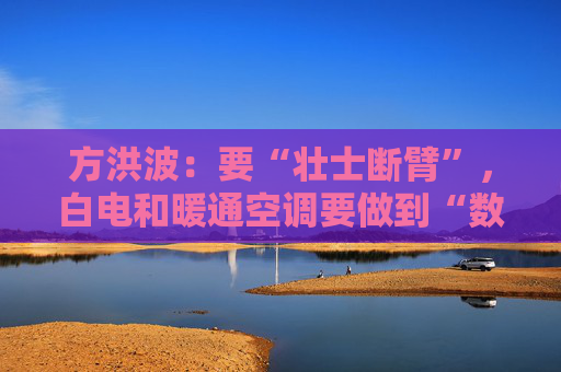 方洪波：要“壮士断臂”，白电和暖通空调要做到“数一数二”