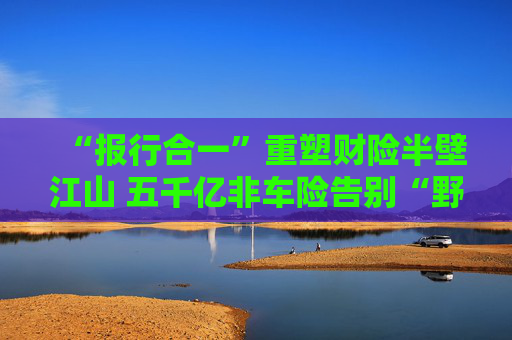 “报行合一”重塑财险半壁江山 五千亿非车险告别“野蛮生长”