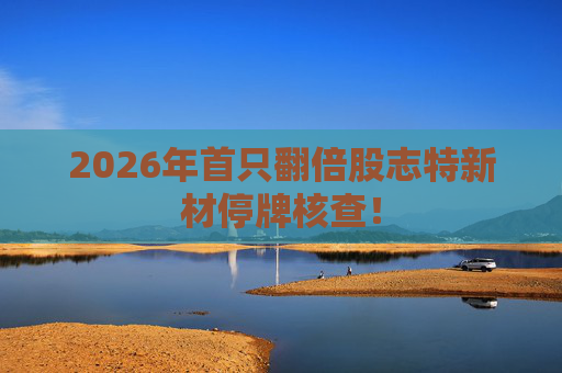 2026年首只翻倍股志特新材停牌核查！