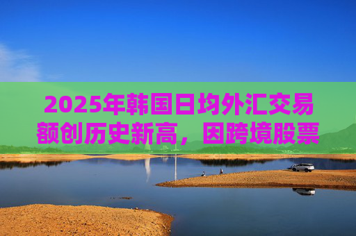 2025年韩国日均外汇交易额创历史新高，因跨境股票交易增加