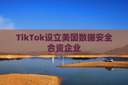 TikTok设立美国数据安全合资企业