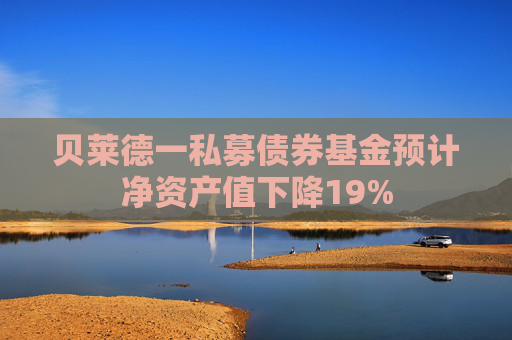 贝莱德一私募债券基金预计净资产值下降19%