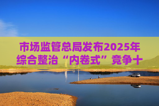 市场监管总局发布2025年综合整治“内卷式”竞争十大重大案件