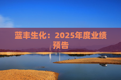 蓝丰生化：2025年度业绩预告