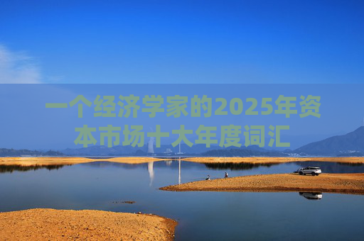 一个经济学家的2025年资本市场十大年度词汇