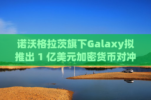 诺沃格拉茨旗下Galaxy拟推出 1 亿美元加密货币对冲基金