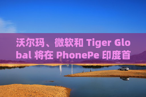 沃尔玛、微软和 Tiger Global 将在 PhonePe 印度首次公开募股中出售 5,070 万股股票
