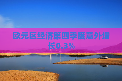 欧元区经济第四季度意外增长0.3%