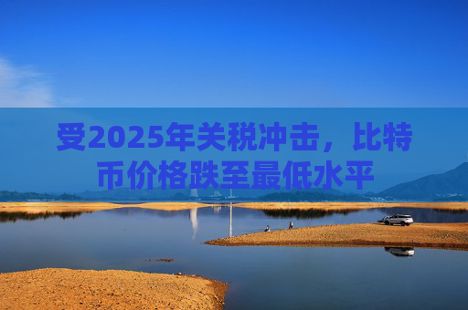 受2025年关税冲击，比特币价格跌至最低水平