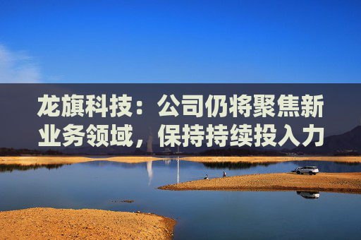 龙旗科技：公司仍将聚焦新业务领域，保持持续投入力度