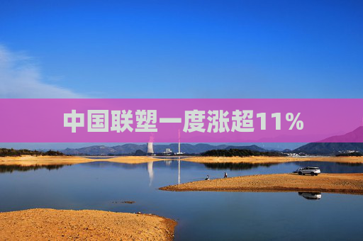 中国联塑一度涨超11%