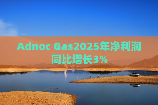 Adnoc Gas2025年净利润同比增长3%