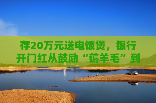 存20万元送电饭煲，银行开门红从鼓励“薅羊毛”到“配资产”
