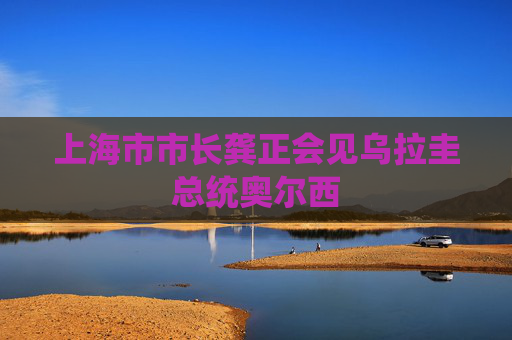 上海市市长龚正会见乌拉圭总统奥尔西