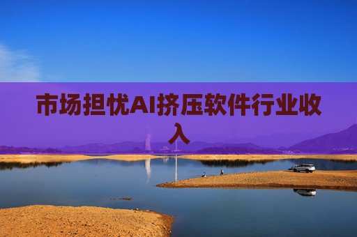 市场担忧AI挤压软件行业收入