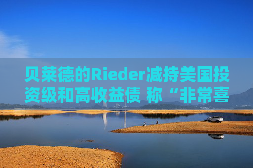 贝莱德的Rieder减持美国投资级和高收益债 称“非常喜欢”新兴市场