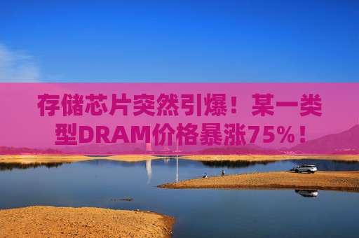存储芯片突然引爆！某一类型DRAM价格暴涨75%！