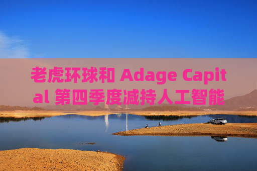 老虎环球和 Adage Capital 第四季度减持人工智能重量级公司股票