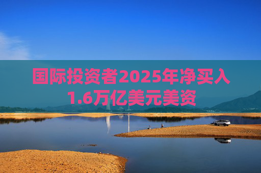 国际投资者2025年净买入1.6万亿美元美资  第1张
