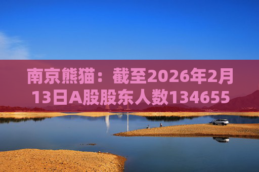 南京熊猫：截至2026年2月13日A股股东人数134655户  第1张