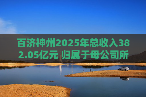 百济神州2025年总收入382.05亿元 归属于母公司所有者的净利润达14.22亿元