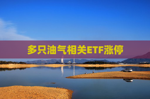 多只油气相关ETF涨停