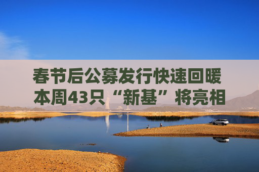 春节后公募发行快速回暖 本周43只“新基”将亮相