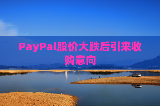 PayPal股价大跌后引来收购意向  第1张