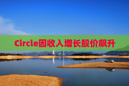 Circle因收入增长股价飙升