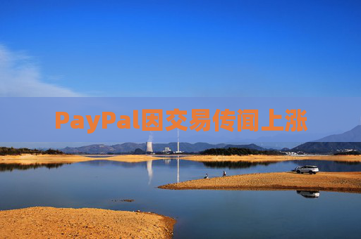 PayPal因交易传闻上涨