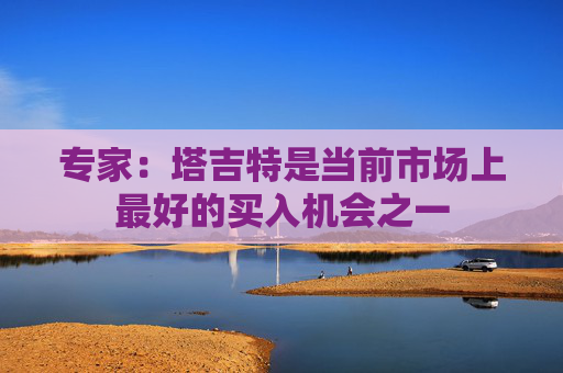 专家：塔吉特是当前市场上最好的买入机会之一  第1张