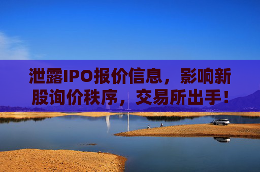 泄露IPO报价信息，影响新股询价秩序，交易所出手！
