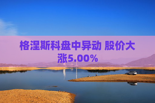 格涅斯科盘中异动 股价大涨5.00%