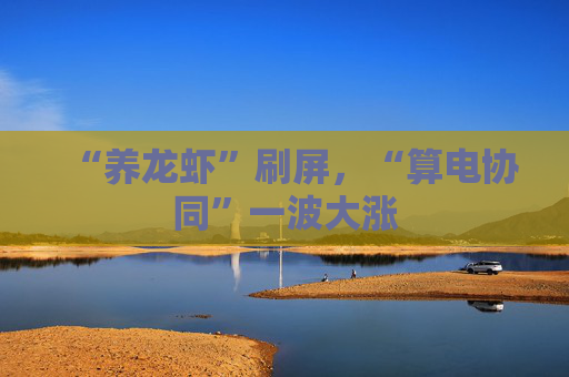 “养龙虾”刷屏，“算电协同”一波大涨