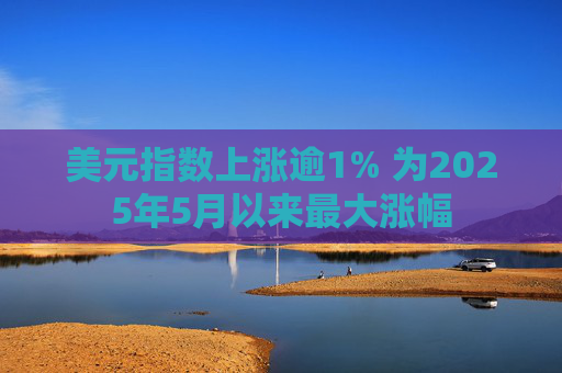 美元指数上涨逾1% 为2025年5月以来最大涨幅  第1张