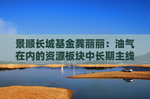 景顺长城基金龚丽丽：油气在内的资源板块中长期主线清晰