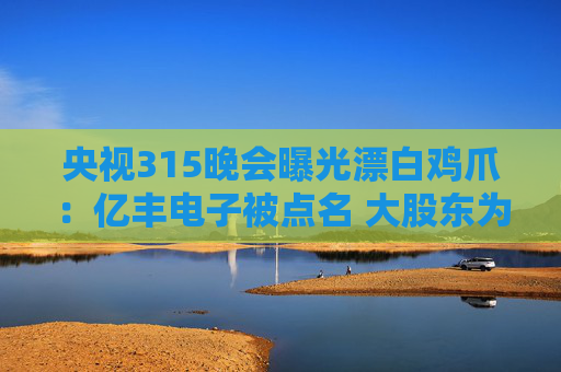 央视315晚会曝光漂白鸡爪：亿丰电子被点名 大股东为A股上市公司多氟多  第1张