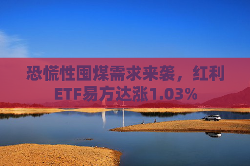 恐慌性囤煤需求来袭，红利ETF易方达涨1.03%