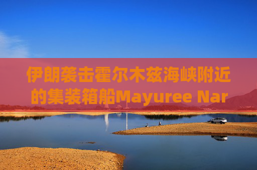 伊朗袭击霍尔木兹海峡附近的集装箱船Mayuree Naree